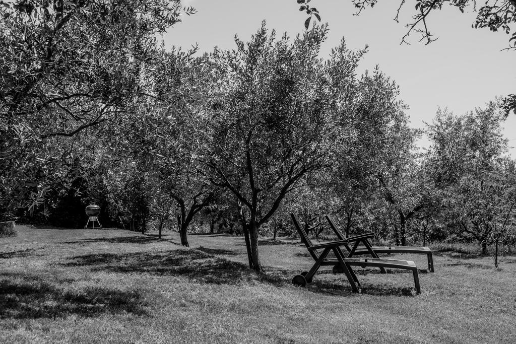 Вилла Terra Del Carso San Pelagio Экстерьер фото